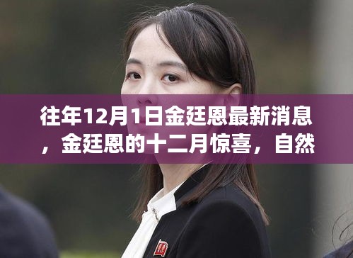 金廷恩十二月驚喜之旅，心靈啟示與自然美景的交融時(shí)刻