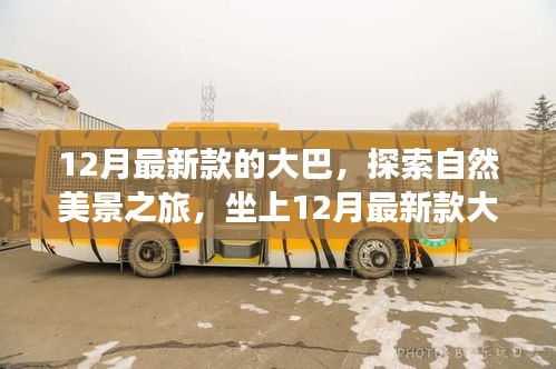 坐上最新款大巴，開(kāi)啟自然美景探索之旅，尋找內(nèi)心的寧?kù)o與平和