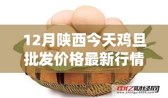 陜西今日雞蛋批發(fā)價格詳解，最新行情、查詢方法與應(yīng)對策略