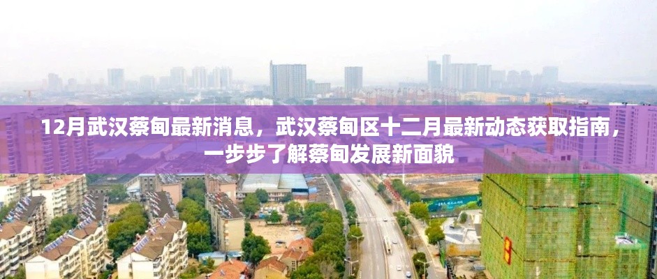 武漢蔡甸區(qū)十二月最新動態(tài)全解析，發(fā)展面貌大揭秘
