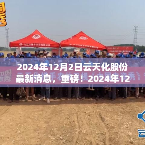 獨家揭秘，云天化股份最新動態(tài)與未來展望（2024年12月2日更新）