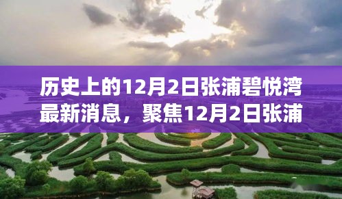 聚焦張浦碧悅灣最新動(dòng)態(tài)，深度解讀12月2日新消息及其影響