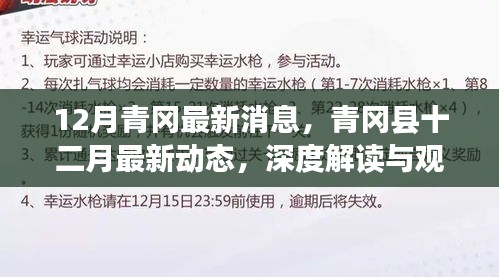 深度解讀與觀點闡述，青岡縣十二月最新動態(tài)與消息速遞