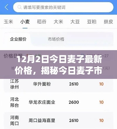 揭秘今日麥子市場，最新價(jià)格動(dòng)態(tài)及市場分析（以麥子最新價(jià)格行情為例）