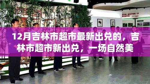 吉林市超市最新出兌，探尋自然美景，發(fā)現(xiàn)內(nèi)心寧靜之美之旅