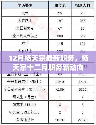 楊天宗十二月職務(wù)最新動態(tài)，多方解讀與觀點分析