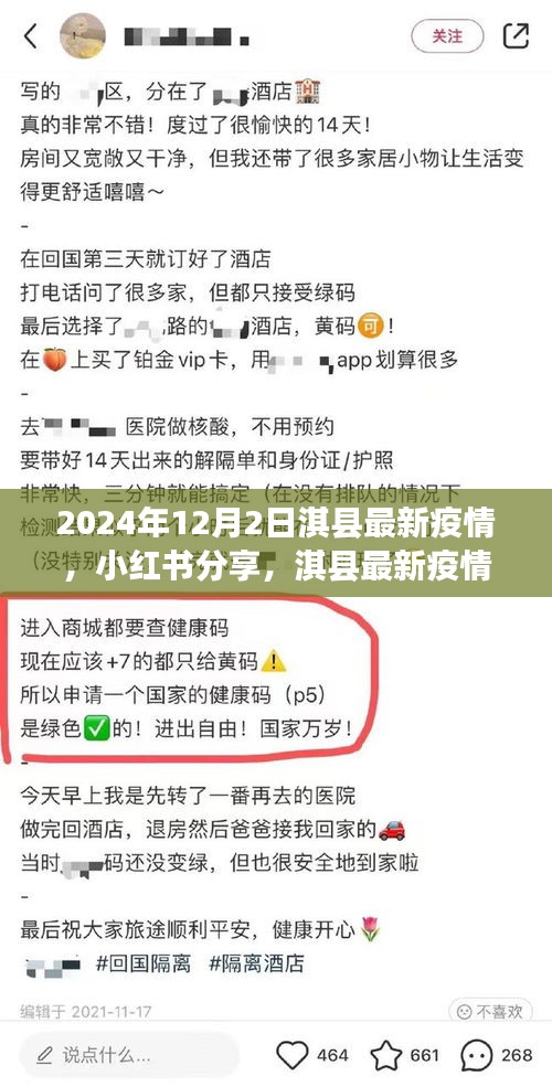小紅書分享，淇縣最新疫情動態(tài)深度解析（2024年12月2日）
