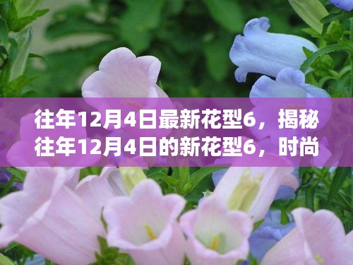 揭秘往年12月4日新花型6，時(shí)尚變遷與流行趨勢(shì)深度解讀
