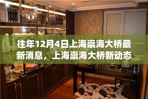 上海崇海大橋新動態(tài)，與自然美景的邂逅之旅揭秘最新消息