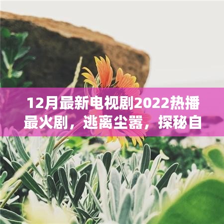 心靈之旅，逃離塵囂，探秘自然美景——2022年熱播電視劇最新盤點(diǎn)
