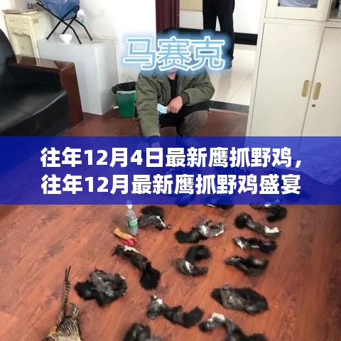 往年12月鷹獵野雞盛宴，技巧分享與狩獵體驗