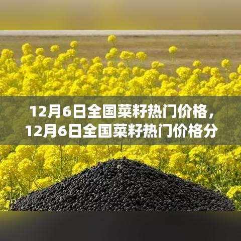 個(gè)人觀點(diǎn)分享