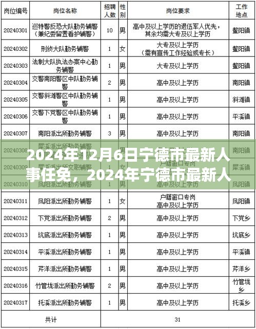 2024年寧德市人事任免信息解讀與操作指南，初學(xué)者與進(jìn)階用戶必讀