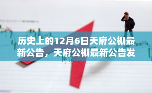 天府公棚最新公告發(fā)布，解讀歷史事件的行動(dòng)指南與天府公棚最新動(dòng)態(tài)回顧