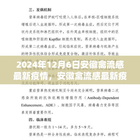 深度觀察，安徽禽流感最新疫情背景、進(jìn)展與影響分析（2024年12月6日）