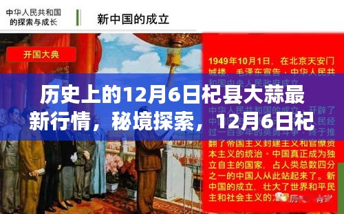 秘境探索，揭秘12月6日杞縣大蒜行情與小巷深處的蒜香特色小店