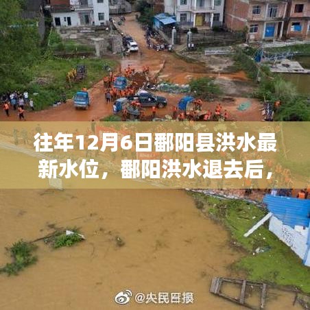 追尋內(nèi)心平靜的洪水退去之旅，鄱陽(yáng)洪水最新水位報(bào)告