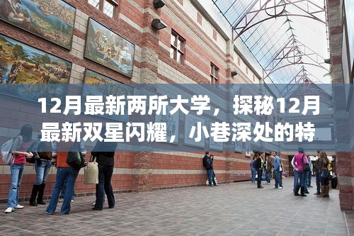 探秘最新雙星閃耀，揭秘十二月新大學(xué)與小巷特色小店中的隱藏時(shí)光