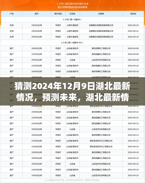 湖北未來(lái)展望，以2024年12月9日觀察節(jié)點(diǎn)預(yù)測(cè)湖北最新情況展望
