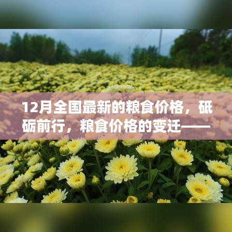 砥礪前行見證變遷，12月全國最新糧食價格及其背后的勵志故事。
