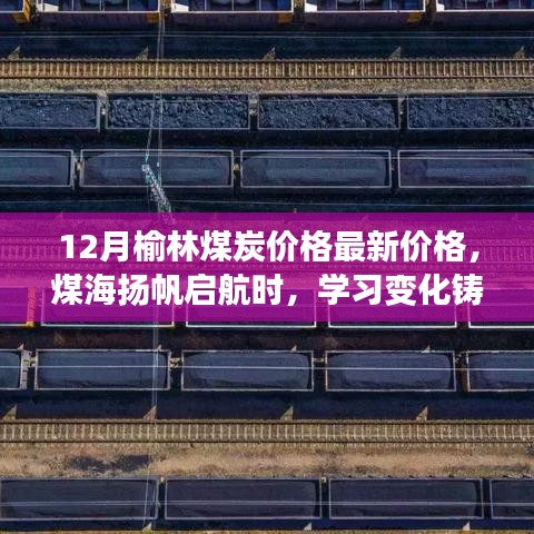 榆林煤炭最新價(jià)格動態(tài)，鼓舞人心的學(xué)習(xí)變化與成就之旅