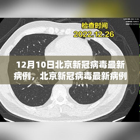 北京新冠病毒最新病例分析報告，深度解讀（截至12月10日）