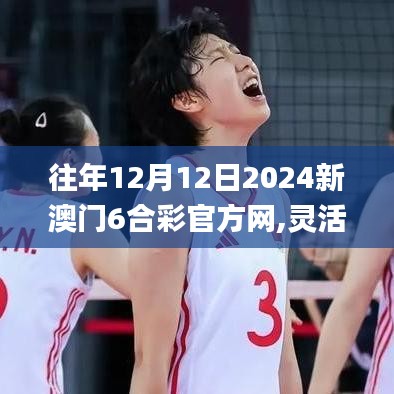 往年12月12日2024新澳門6合彩官方網(wǎng),靈活設(shè)計操作方案_HDR版8.222