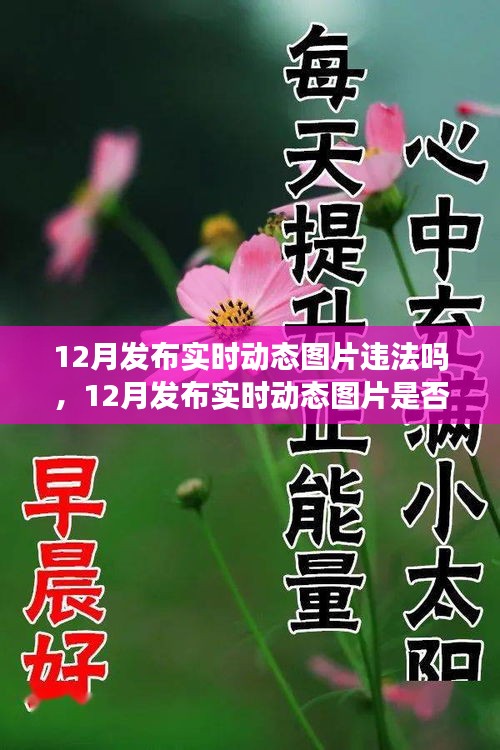 解讀，實(shí)時(shí)動(dòng)態(tài)圖片發(fā)布是否違法？關(guān)于12月發(fā)布實(shí)時(shí)動(dòng)態(tài)圖片的法規(guī)與案例分析