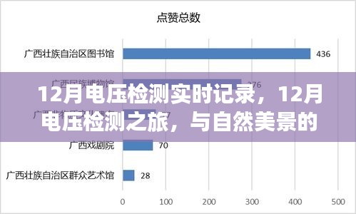 12月電壓檢測(cè)之旅，實(shí)時(shí)記錄與自然美景的交融