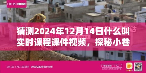 探秘實(shí)時(shí)課程課件視頻，小巷深處的寶藏與特色小店的奇妙邂逅，2024年12月14日的探索之旅