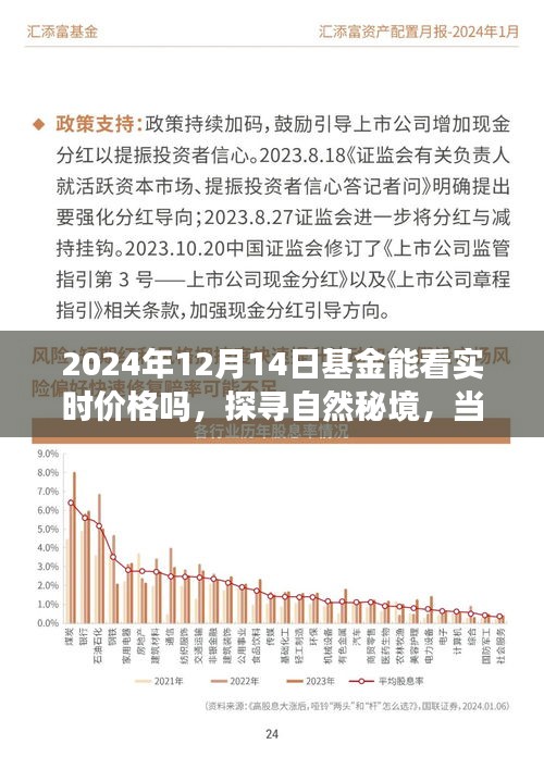 探尋自然秘境與基金實(shí)時(shí)價(jià)格之旅，一場(chǎng)心靈與財(cái)富的奇妙交融