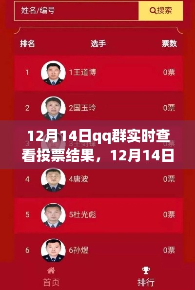 12月14日QQ群實(shí)時(shí)投票結(jié)果查看功能深度評(píng)測與介紹