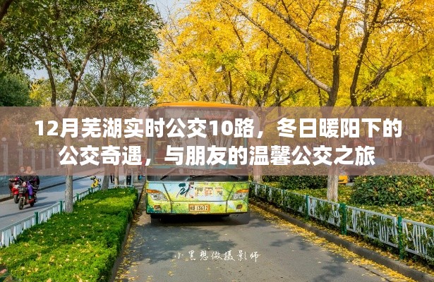 冬日暖陽下的溫馨公交之旅，蕪湖實時公交10路之旅