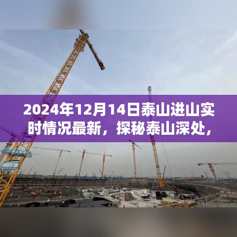 探秘泰山深處，小巷特色小店與最新進山實時情況揭秘