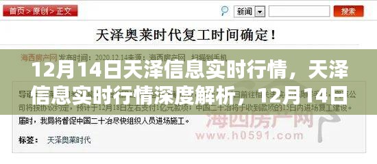 天澤信息實時行情解析，深度剖析與特殊篇章（12月14日）