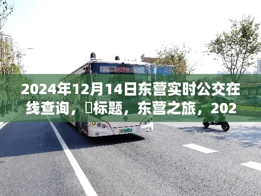 東營(yíng)公交實(shí)時(shí)查詢(xún)系統(tǒng)，探尋心靈靜謐角落的公交之旅
