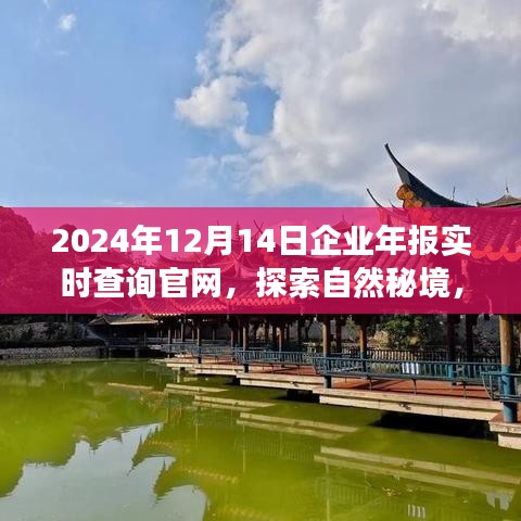 探索自然秘境，啟程尋找內(nèi)心寧靜與平和，企業(yè)年報實時查詢官網(wǎng)，開啟您的2024年報查詢之旅
