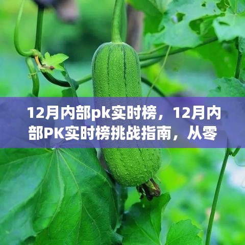 從零起步到高手的進(jìn)階之路，12月內(nèi)部PK實(shí)時(shí)榜挑戰(zhàn)指南