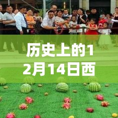 風(fēng)華絕代 第4頁