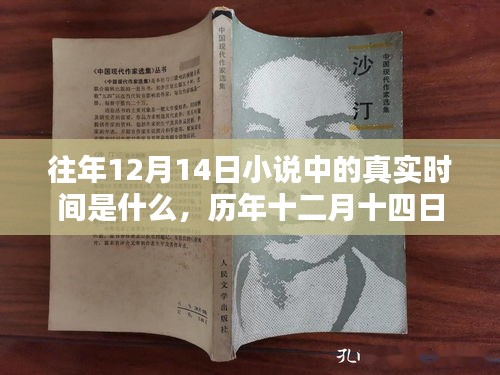 歷年十二月十四日小說中的時(shí)間深度解析，特性、體驗(yàn)、競(jìng)品對(duì)比與用戶群體分析