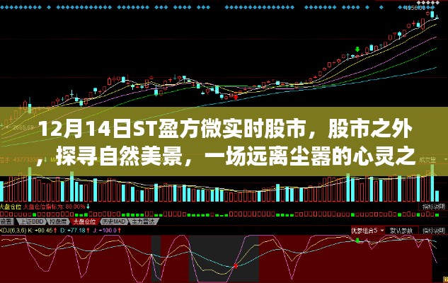 ST盈方微股市輕語，探尋自然美景的心靈之旅，啟程于股市之外