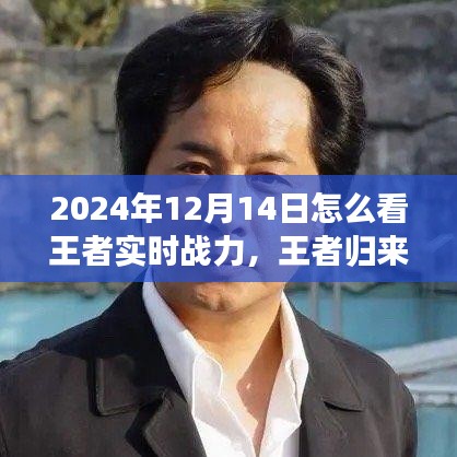 王者歸來，探尋自然美景之旅與解鎖內(nèi)心平靜之力，實(shí)時(shí)戰(zhàn)力指南（2024年12月14日）