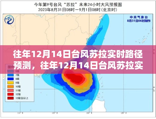 往年12月14日臺風蘇拉實時路徑預測，步驟指南與最新動態(tài)關(guān)注