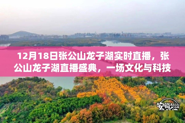 張公山龍子湖直播盛典，文化與科技的璀璨交融之夜