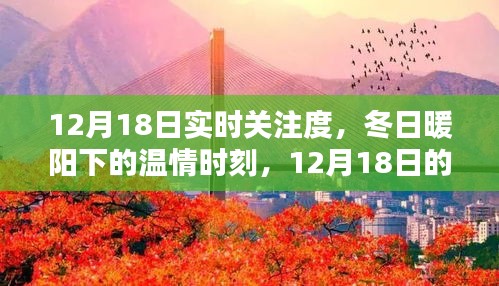 12月18日實(shí)時(shí)關(guān)注，冬日暖陽下的溫情時(shí)刻