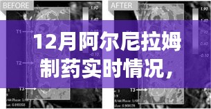 阿爾尼拉姆制藥12月實時動態(tài)，生產(chǎn)進展、市場洞察一覽無余