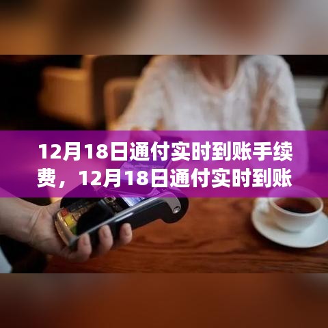 12月18日通付實時到賬手續(xù)費(fèi)調(diào)整解析，新政策費(fèi)用標(biāo)準(zhǔn)及其影響