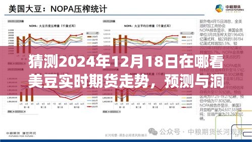 美豆實(shí)時(shí)期貨走勢展望，探尋2024年12月18日走勢預(yù)測與洞察