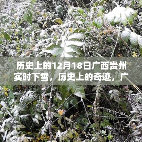 廣西貴州十二月十八日奇跡般的雪景歷史紀(jì)實(shí)