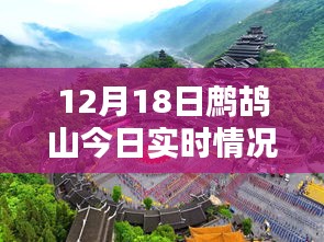 鷓鴣山今日實時情況，特色小店帶你領略別樣冬日風情，驚喜藏于深山之中